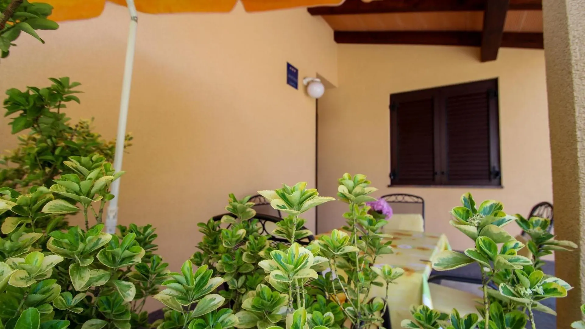 Apartmán Martinis Yellow Novigrad Istria